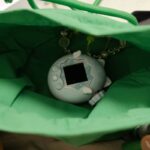 10 Best Virtual Pet Browser Games You Can Play Right Now (No Download Needed!)