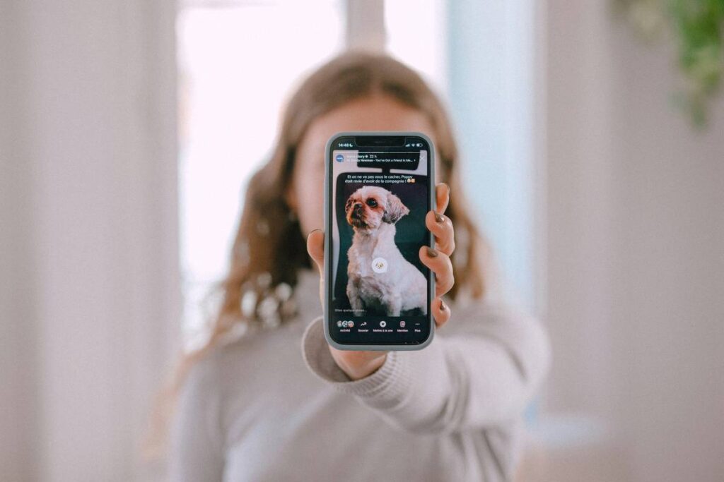 Video Game Virtual Pet How To: Raise, Train & Bond with Your Digital Companion