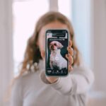 Why Your Search for “Dog Simulator My Virtual Pets” Ends Here (And How to Actually Enjoy It)