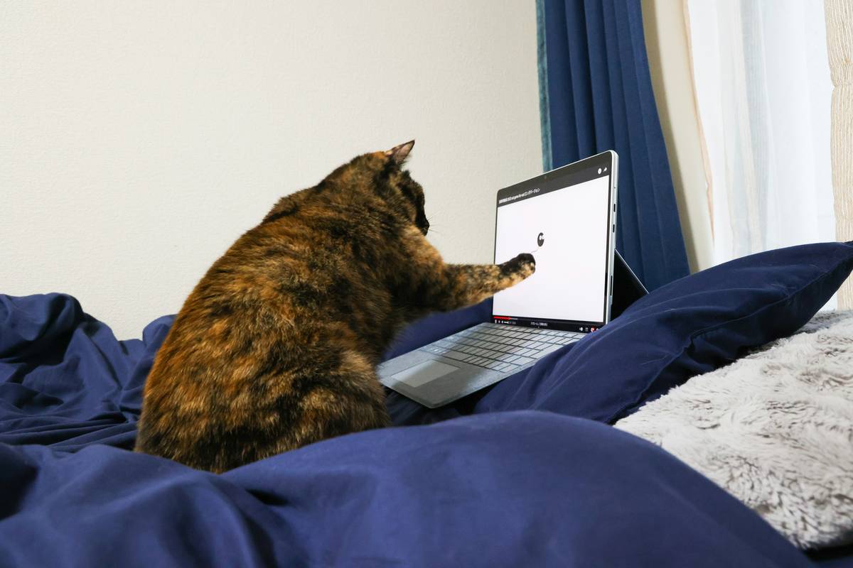 Side-by-side comparison of generic vs advanced my virtual pet cat simulator interfaces