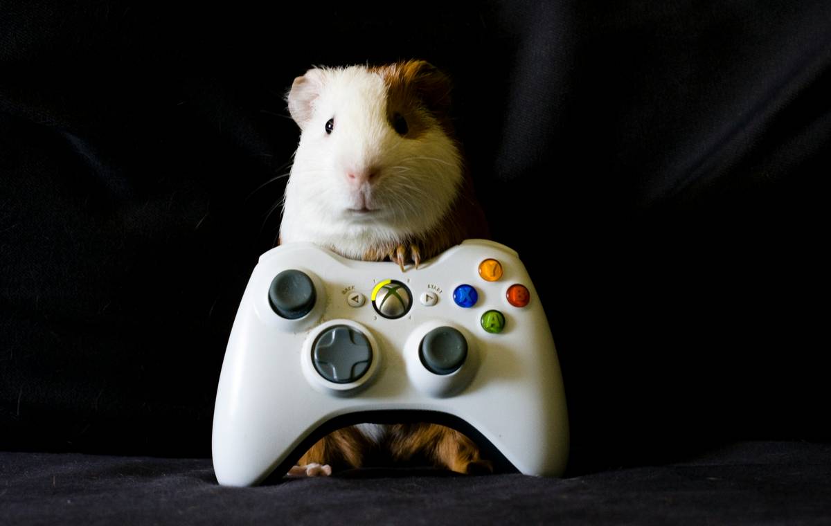 Why Your Search for an Exclusive Pet Simulation Game Ends Here